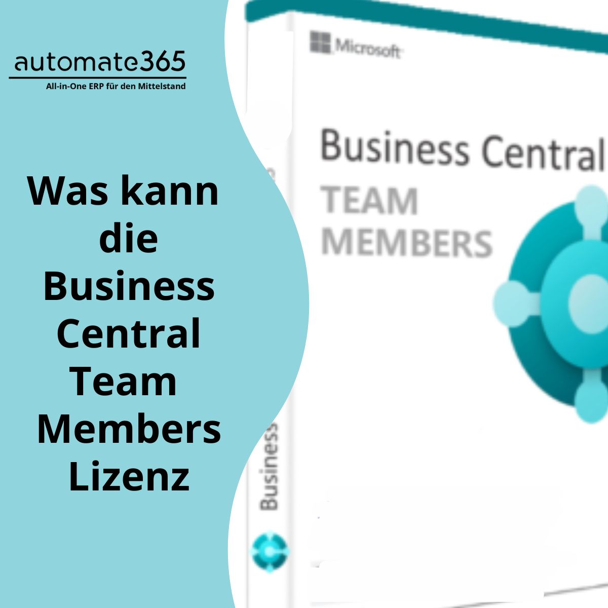 Team Members-Lizenz in Business Central